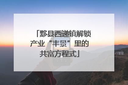 黟县西递镇解锁产业“丰景”里的共富方程式